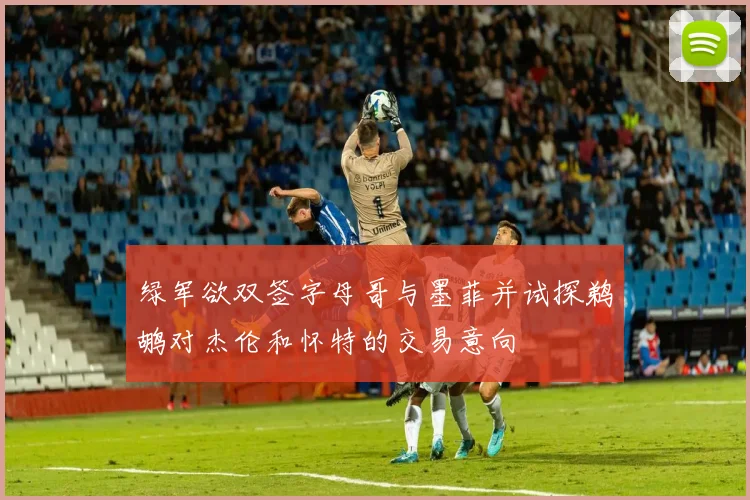 绿军欲双签字母哥与墨菲并试探鹈鹕对杰伦和怀特的交易意向